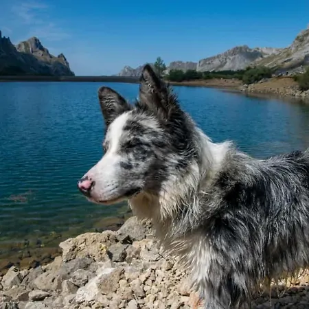 Prázdninový dům Casa Serafo Saliencia